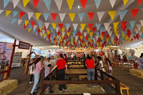 Niños disfrutando actividades en la Isla San Marcos.
