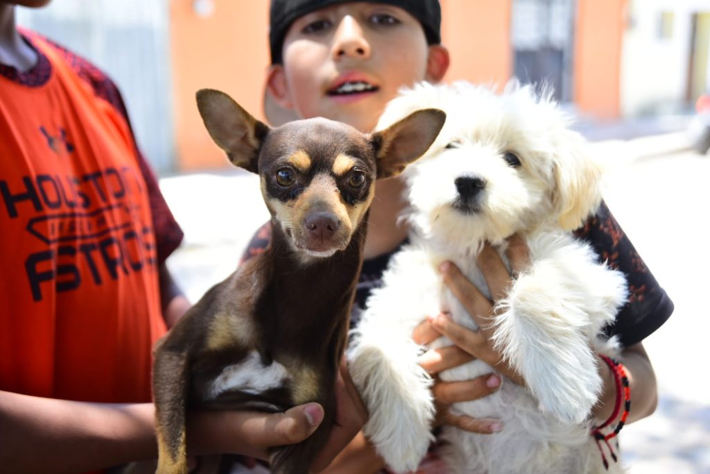 Participantes en la jornada de esterilización gratuita en Aguascalientes, fomentando la tenencia responsable de mascotas.
